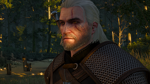 the-witcher-3-wild-hunt-pc-screenshot-002-640px.png
