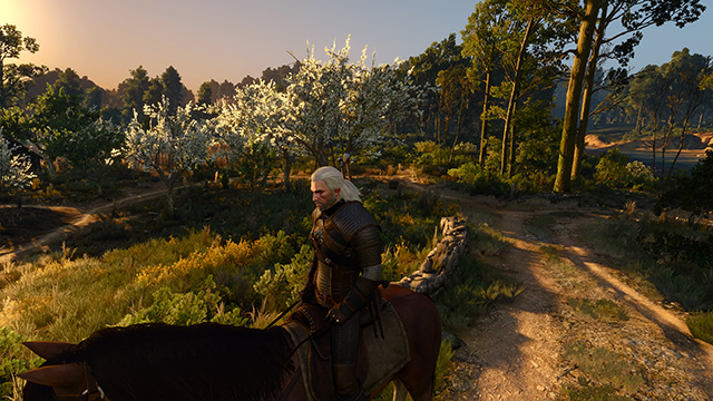 the-witcher-3-wild-hunt-texture-quality-002-ultra-640px.jpg