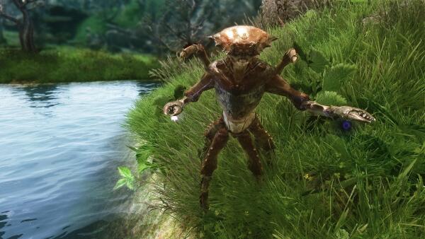 beautiful creatures from Skyrim 3