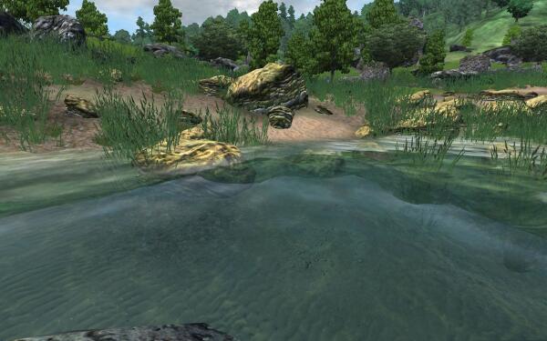 Oblivion Association Grass