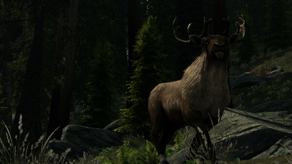 Без ENB
