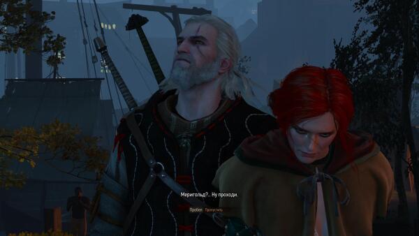 witcher3