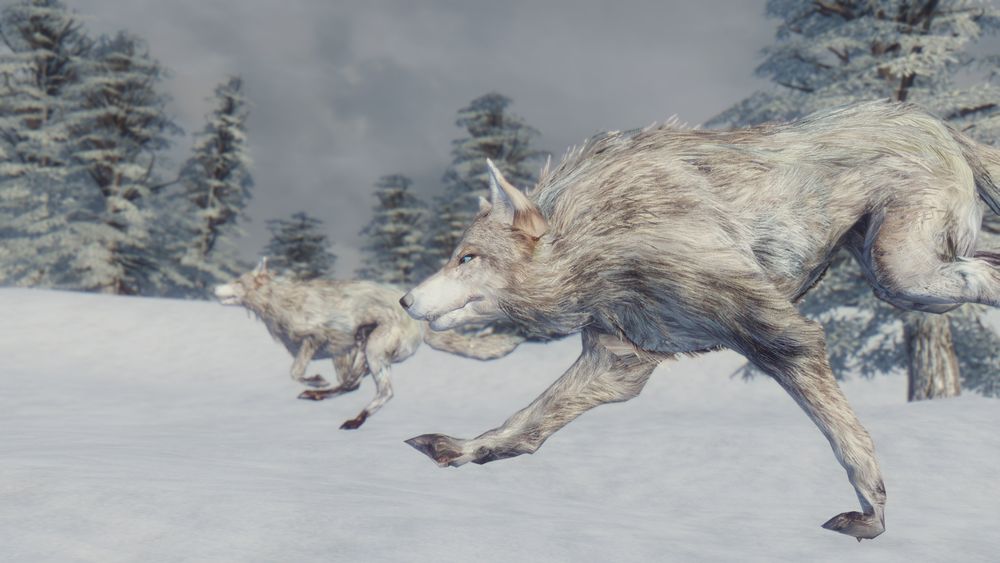 ScreenShot1761.jpg