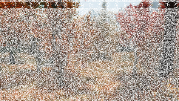 Sparrow ENB
