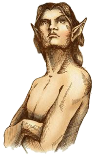 lore-race-bosmer.png