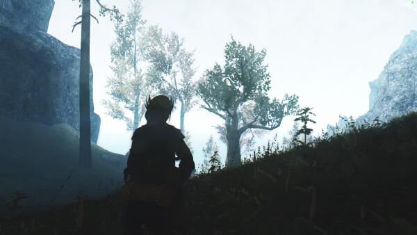 Screen pack