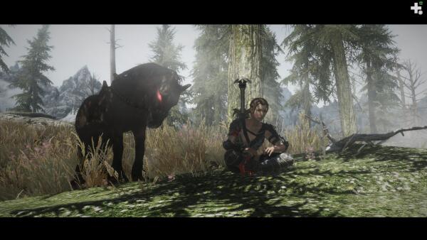 Skyrim