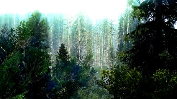 ScreenShot113