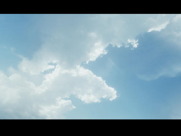 Oblivion