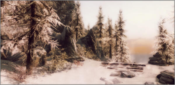 The landscape
