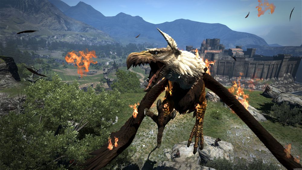 image_dragon_s_dogma_dark_arisen-29579-2707_0005.jpg