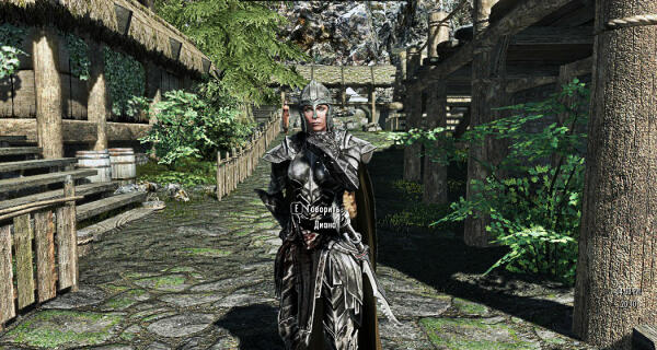 Skyrim - Lеgеndary Еdition Диана моя напарница:)