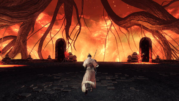 Dark Souls 2 - Финал. Это было незабываемое путешествие.