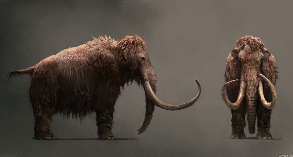 image_far_cry_primal-29823-3404_0004.jpg