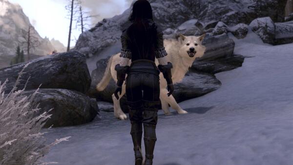 ScreenShot24