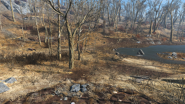 fallout-4-grass-fade-002-021-640px.jpg