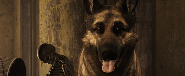 Fallout 4