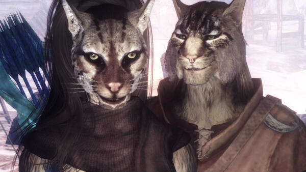 Котики