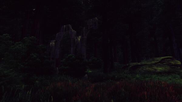 Forest