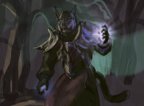 Cat magician