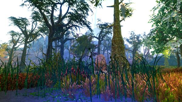 Shadow of Morrowind