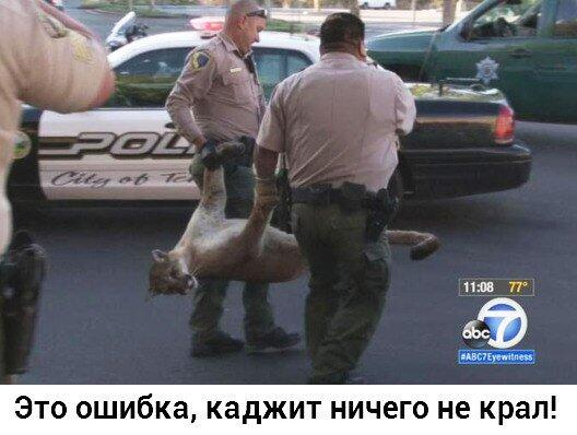 Случайна наткнулся на такое=))
