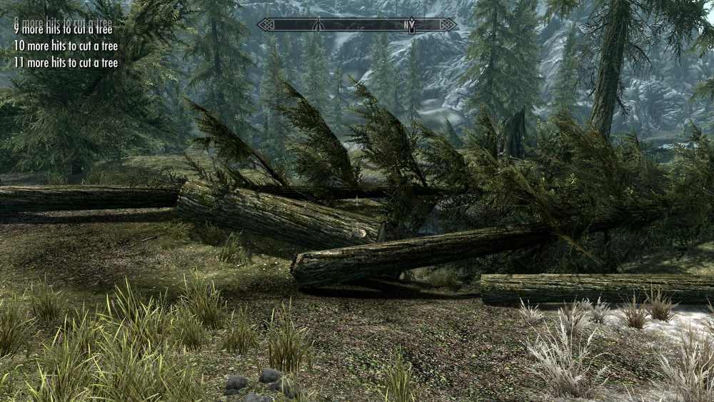 Woodcutter