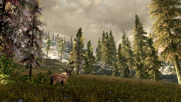 Shadow of Morrowind
