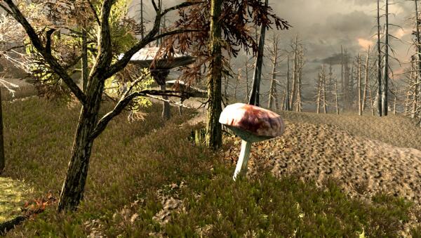 Shadow of Morrowind