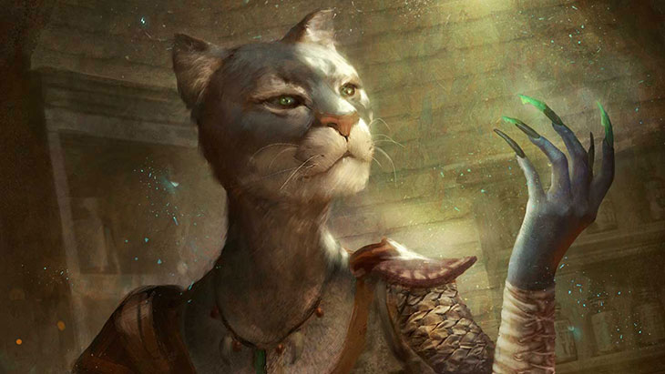 ESL_Khajiit.jpg
