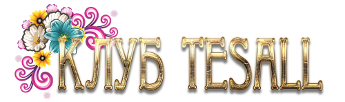 kt.png
