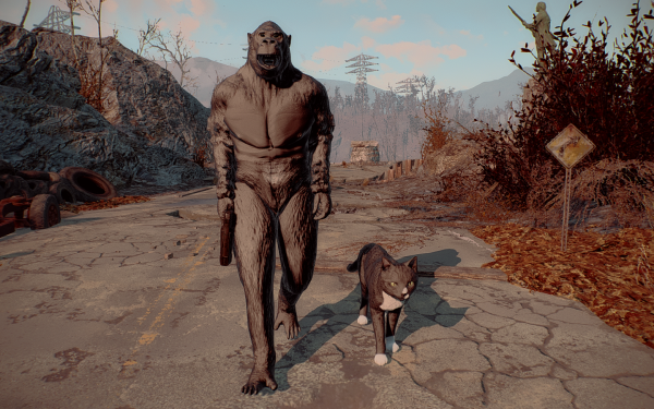 Ape Survivor