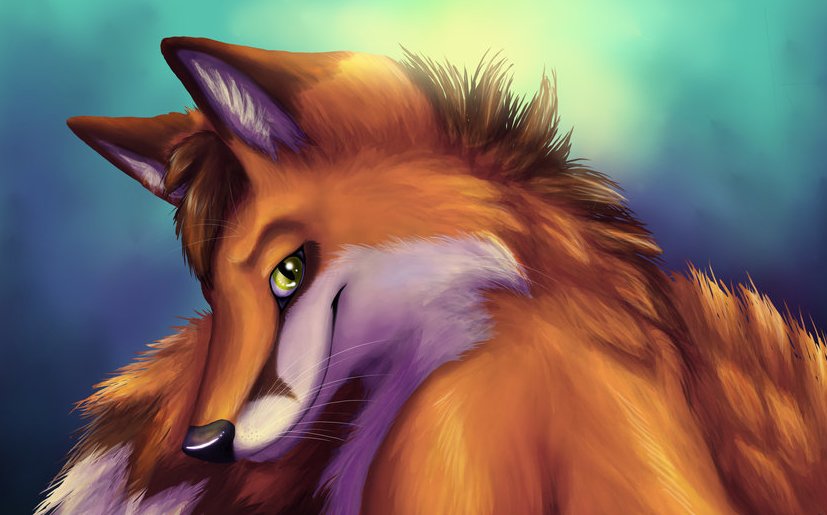 furry-fox-furry-art-furry-фэндомы-1615721.jpeg