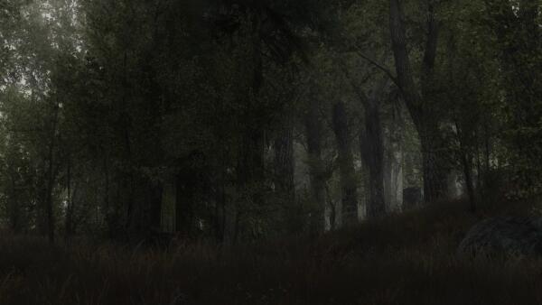 Great forest