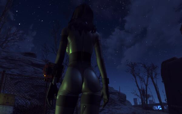 Fallout4