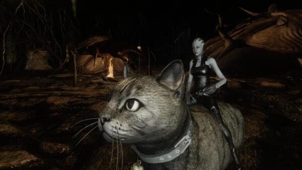 Liara cat rider