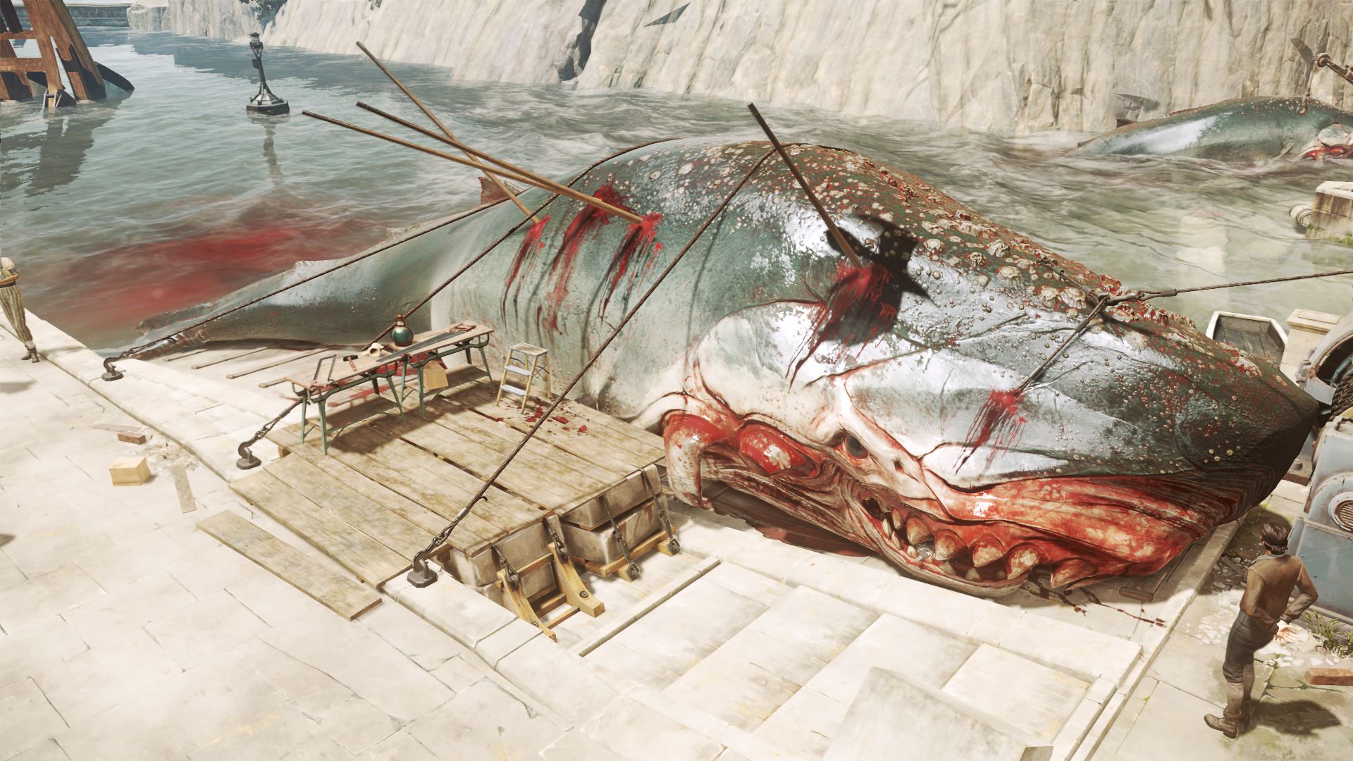 158696_KqhRhXwKz4_d2_deadwhale_1465774540.jpg
