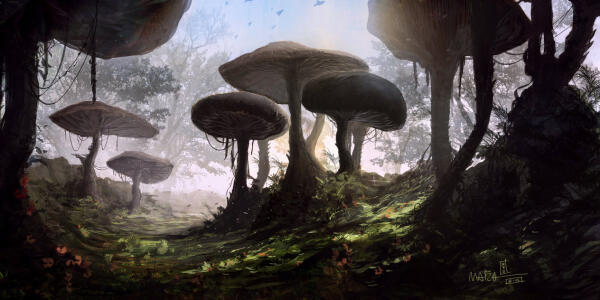 Mushrooms