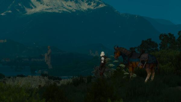witcher3 2016 06 08 23 50 05