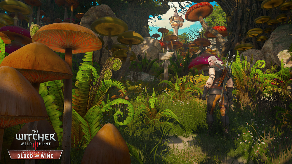 the_witcher_3_wild_hunt_blood_and_wine_i_think_were_not_in_novigrad_anymore_rgb_en.png