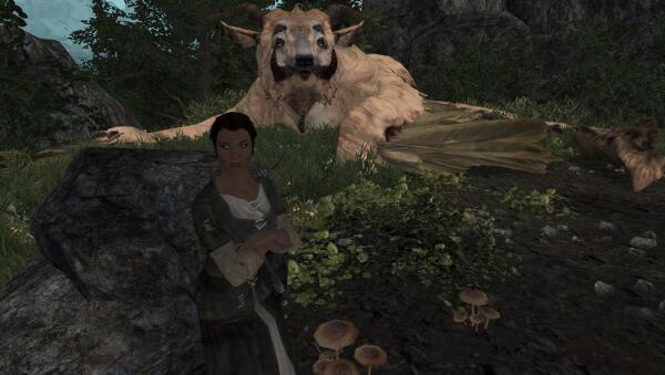 Enderal