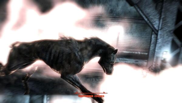 FalloutNV 2016 07 01 15 44 06 68