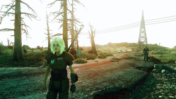 FalloutNV 2016 07 01 22 04 06 91