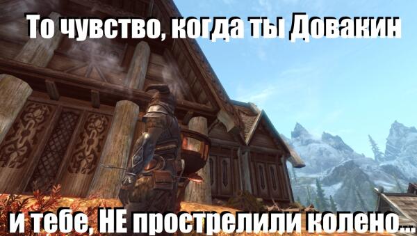 то чувство когда ты Довакин и тебе НЕ прострелили колено...