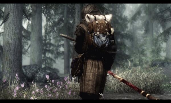 Wandering Mage