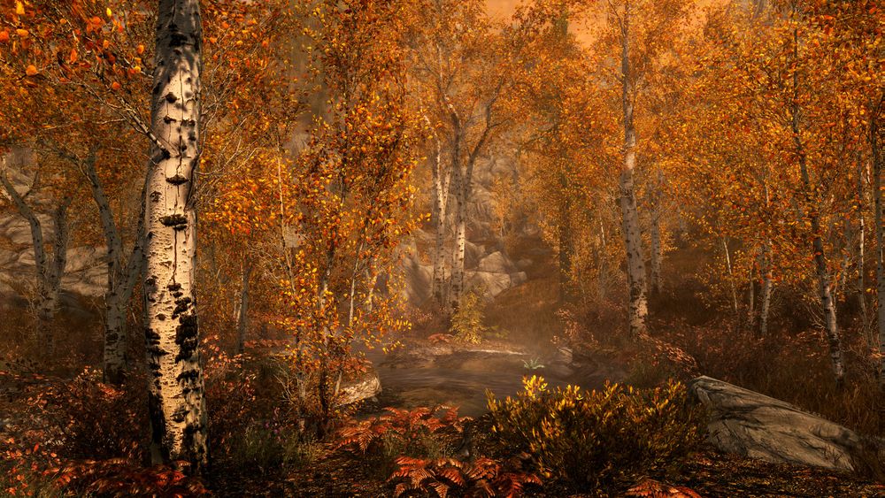 FallForestFULL.jpg