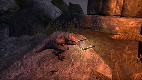 Pony-guar activating hard mode on the Tempest island