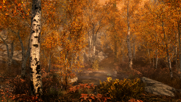 Лес Skyrim Special Edition
