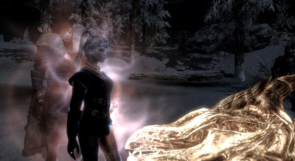 ScreenShot2548