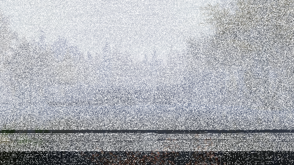Foggy morning